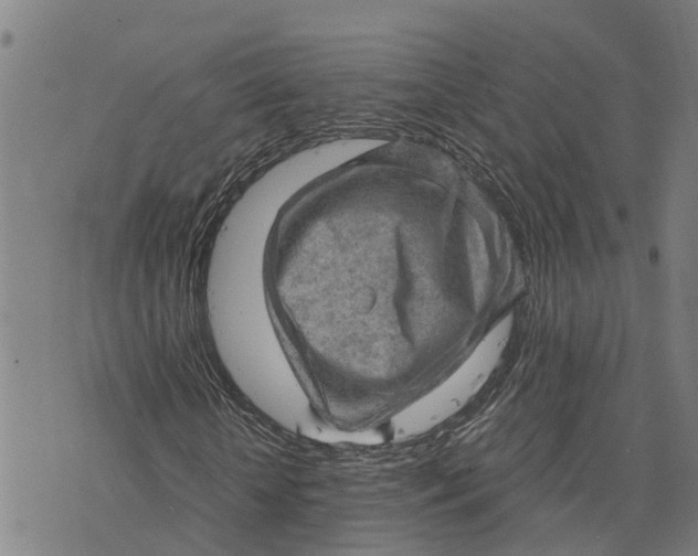 X0000073750818200608241345