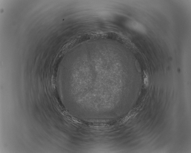 X0000073750819200608241345