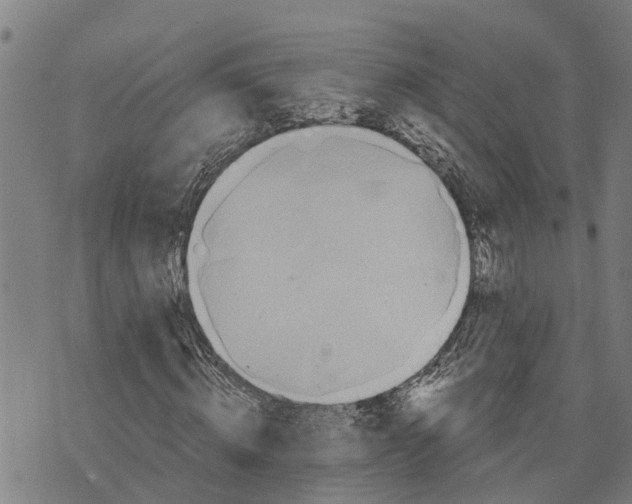 X0000073750820200608241345