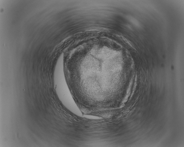 X0000073750821200608241345