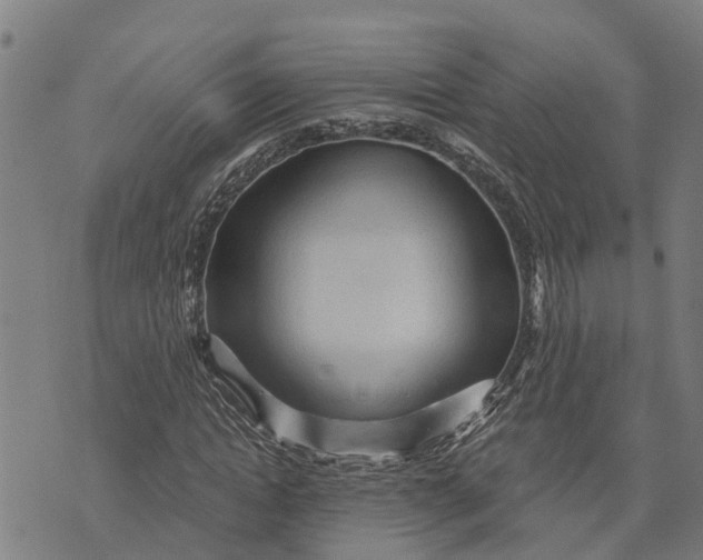 X0000073750822200608241345