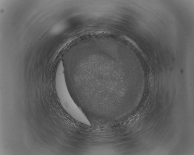 X0000073750823200608241345