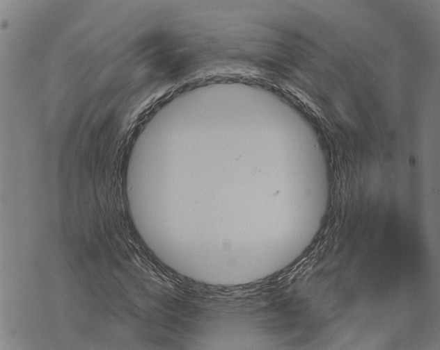 X0000073750824200608241345