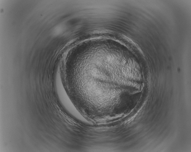 X0000073750825200608241345