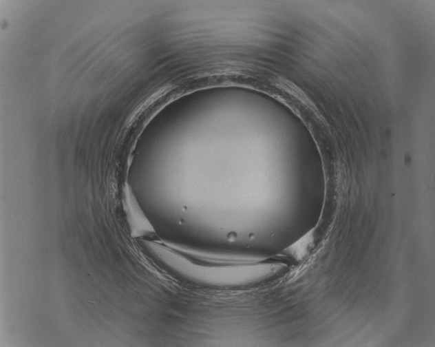 X0000073750826200608241345