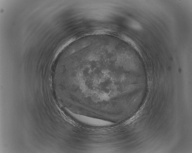 X0000073750827200608241345