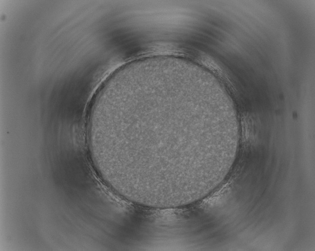 X0000073750828200608241345