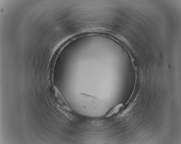 X0000073750830200608241345