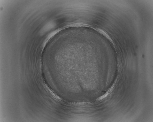 X0000073750831200608241345