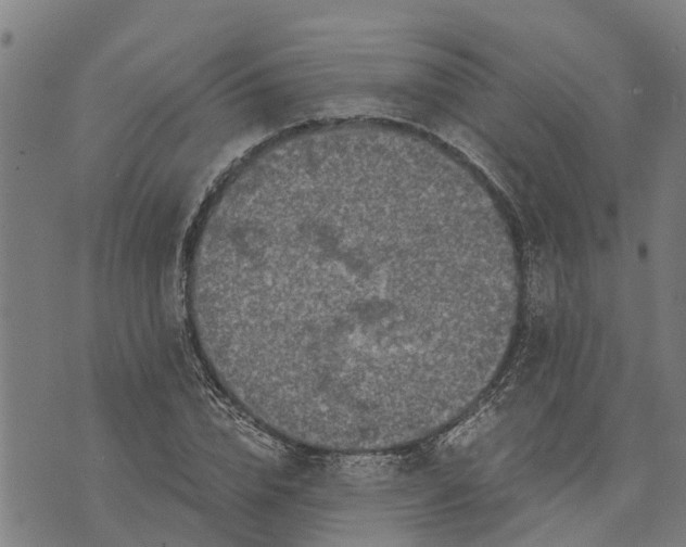 X0000073750832200608241345