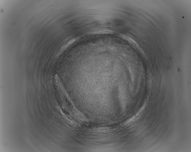 X0000073750833200608241345