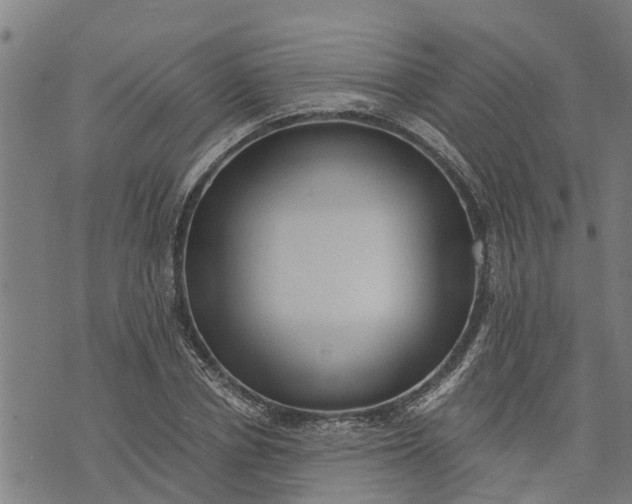 X0000073750834200608241345