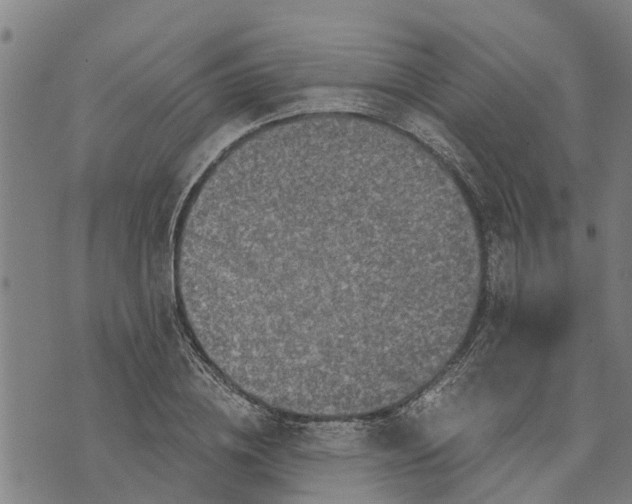 X0000073750836200608241345