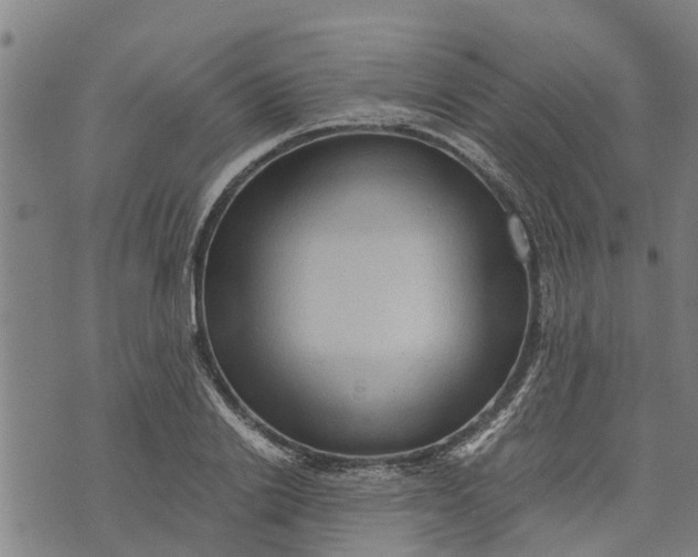 X0000073750838200608241345