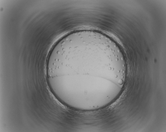 X0000073750839200608241345