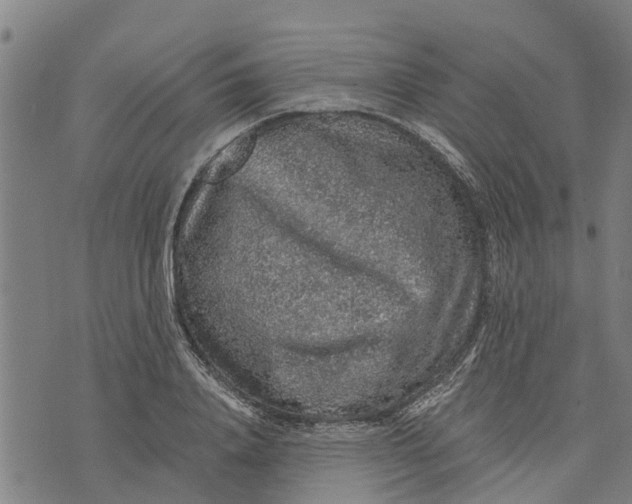 X0000073750840200608241345