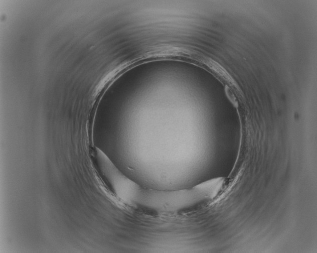 X0000073750842200608241345