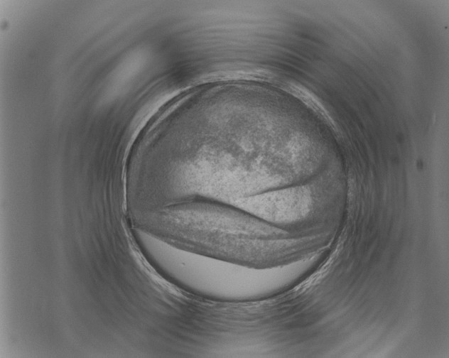 X0000073750844200608241345