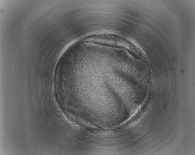 X0000073750845200608241345