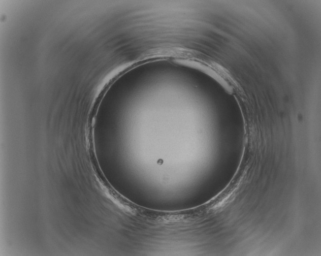 X0000073750846200608241345