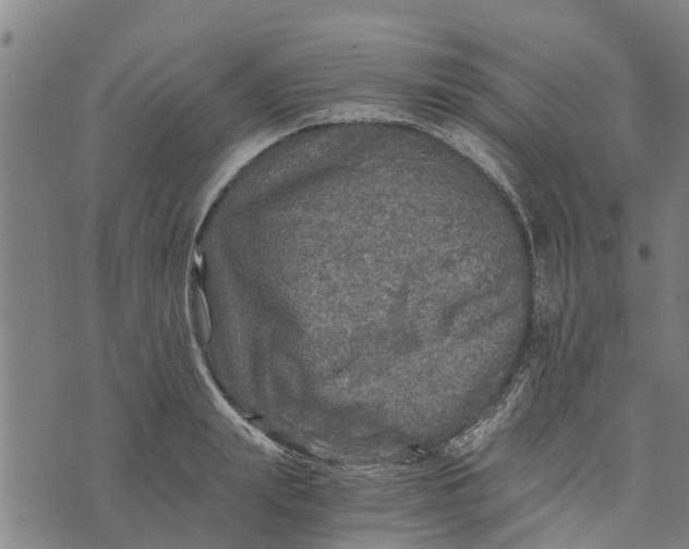 X0000073750847200608241345