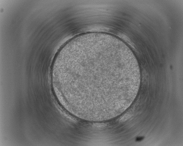 X0000073750848200608241345