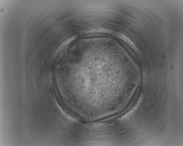 X0000073750849200608241345