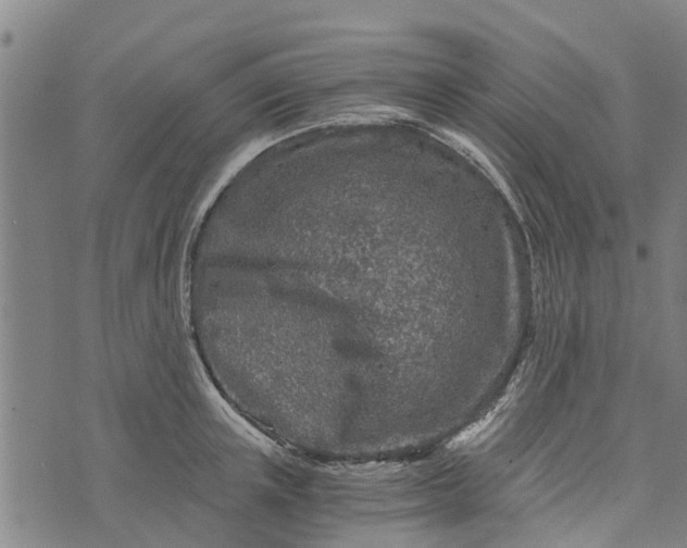 X0000073750851200608241345