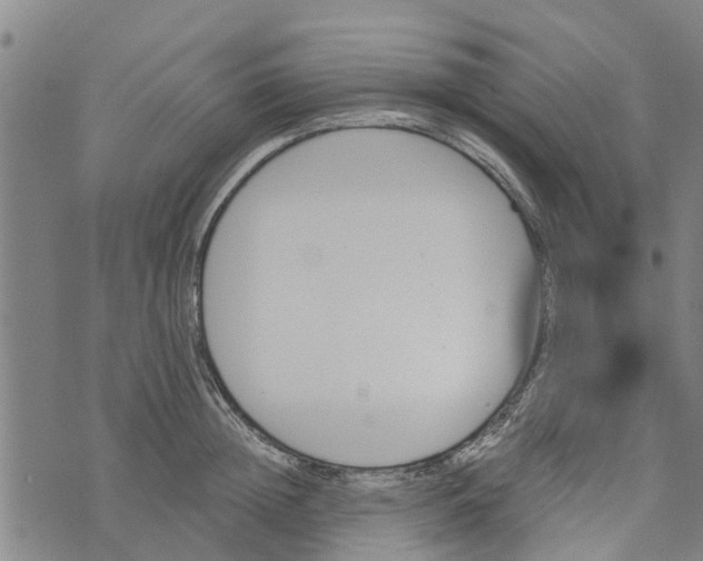 X0000073750852200608241345