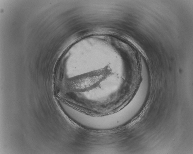 X0000073750853200608241345