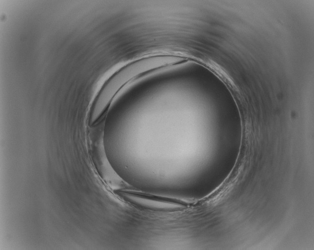 X0000073750854200608241345