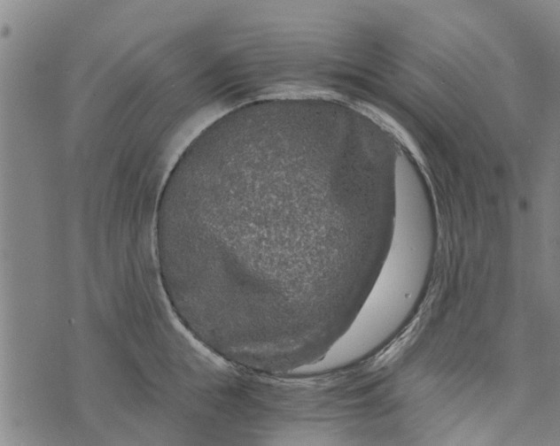 X0000073750855200608241345