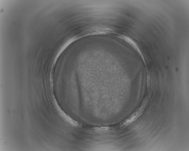 X0000073750859200608241345