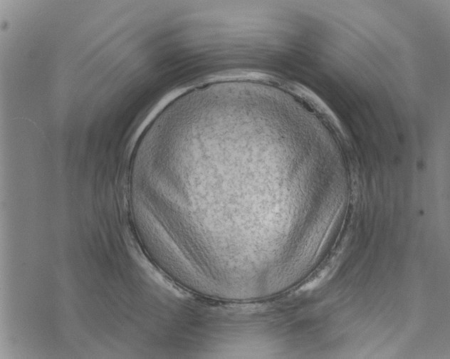 X0000073750860200608241345