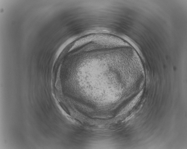 X0000073750861200608241345