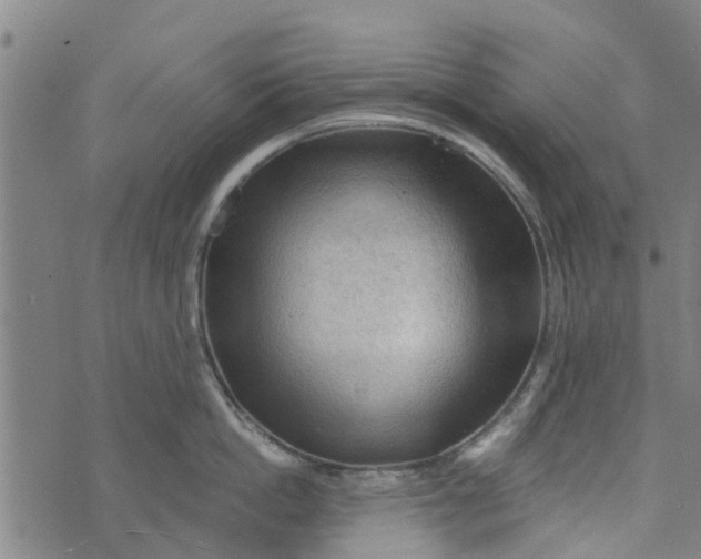 X0000073750862200608241345