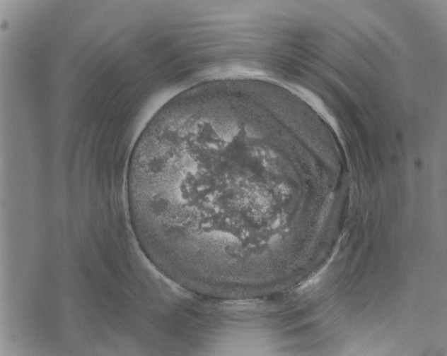 X0000073750863200608241345