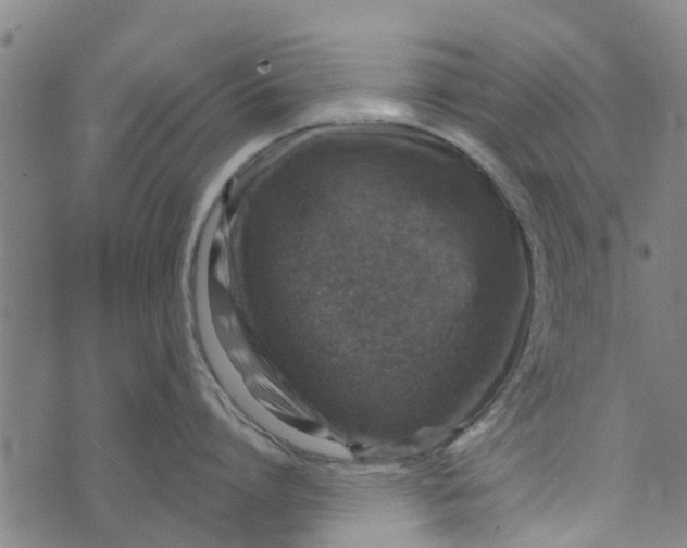 X0000073750864200608241345