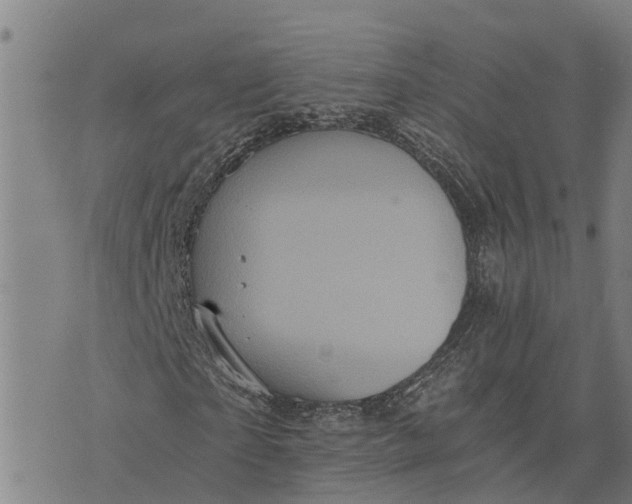 X0000073750865200608241344