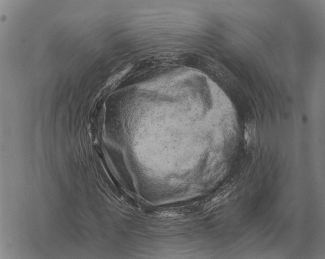 X0000073750867200608241344