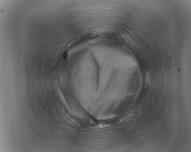 X0000073750868200608241344