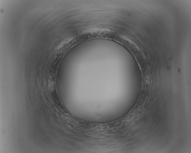 X0000073750869200608241344