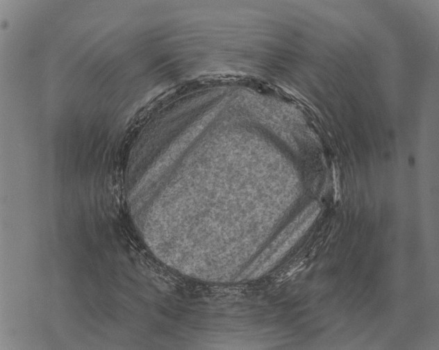 X0000073750870200608241344