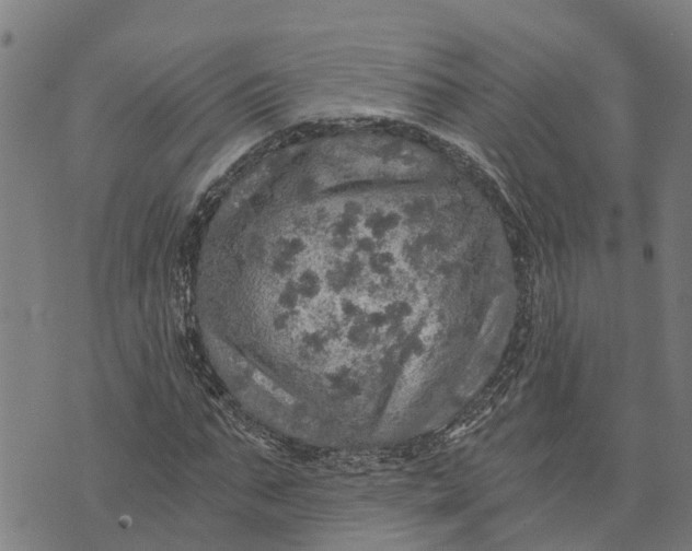 X0000073750871200608241344