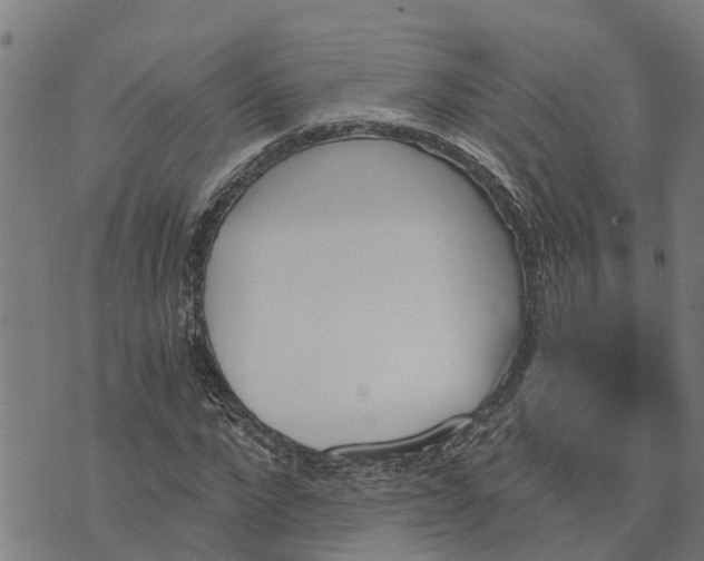 X0000073750872200608241344