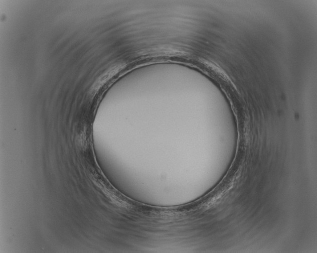 X0000073750873200608241344