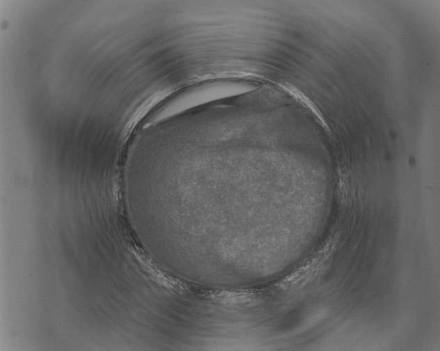 X0000073750874200608241344