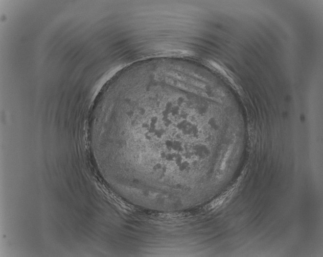 X0000073750875200608241344