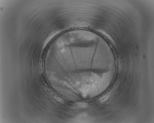 X0000073750878200608241344