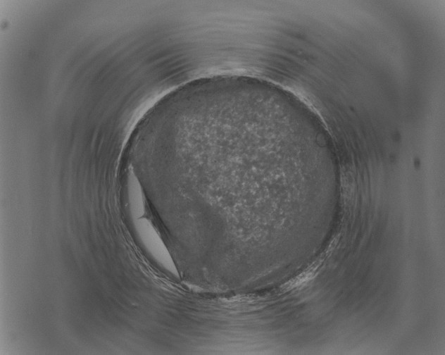 X0000073750879200608241344